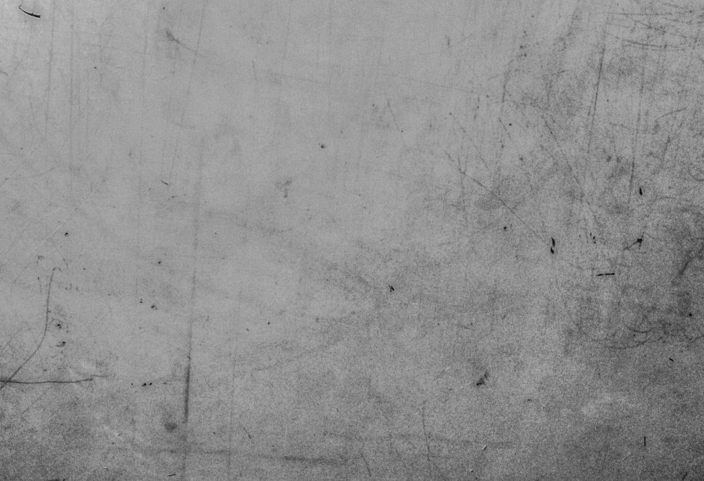 pexels-elina-araja-1743227-3377405